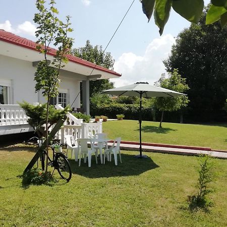Deppy'S House Κοντά Στα Λουτρά Πόζαρ Lejlighed Chrysi Eksteriør billede