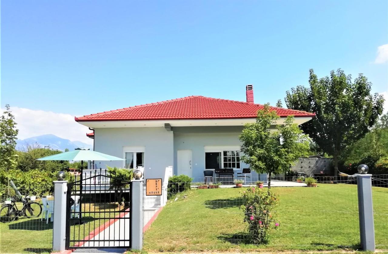 Deppy'S House Κοντά Στα Λουτρά Πόζαρ Lejlighed Chrysi Eksteriør billede